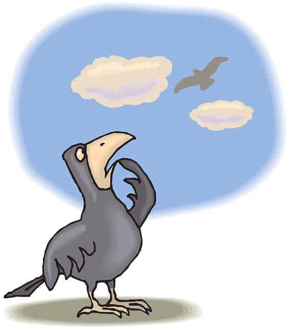 If you have a fear of flying here is some real advice to overcome it 1 How to get over your fear of flying
