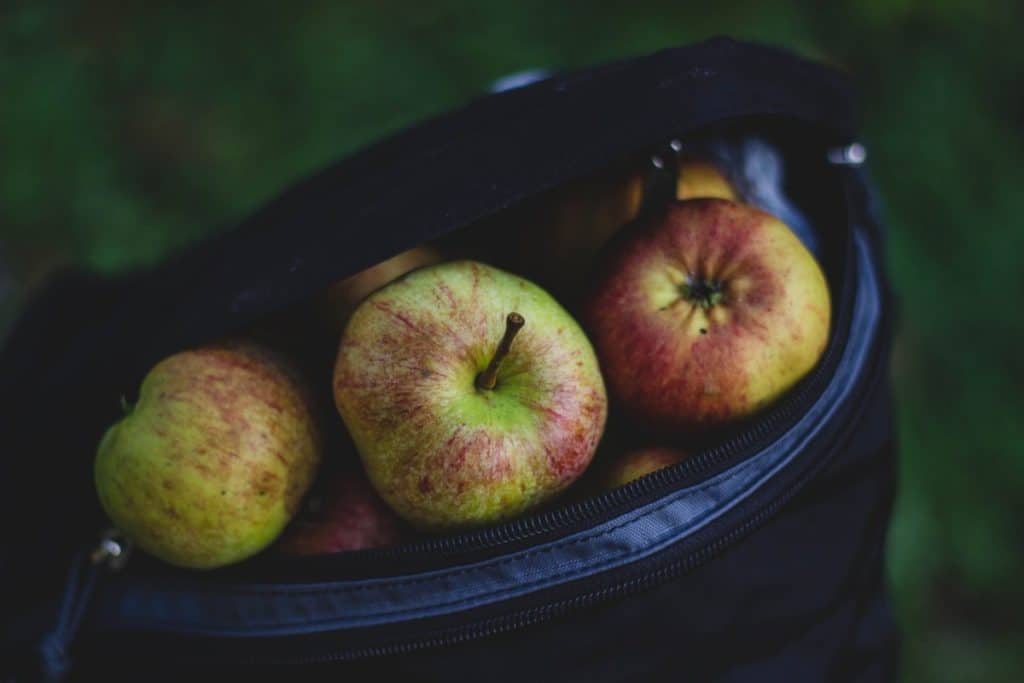 can you bring fruit on the plane