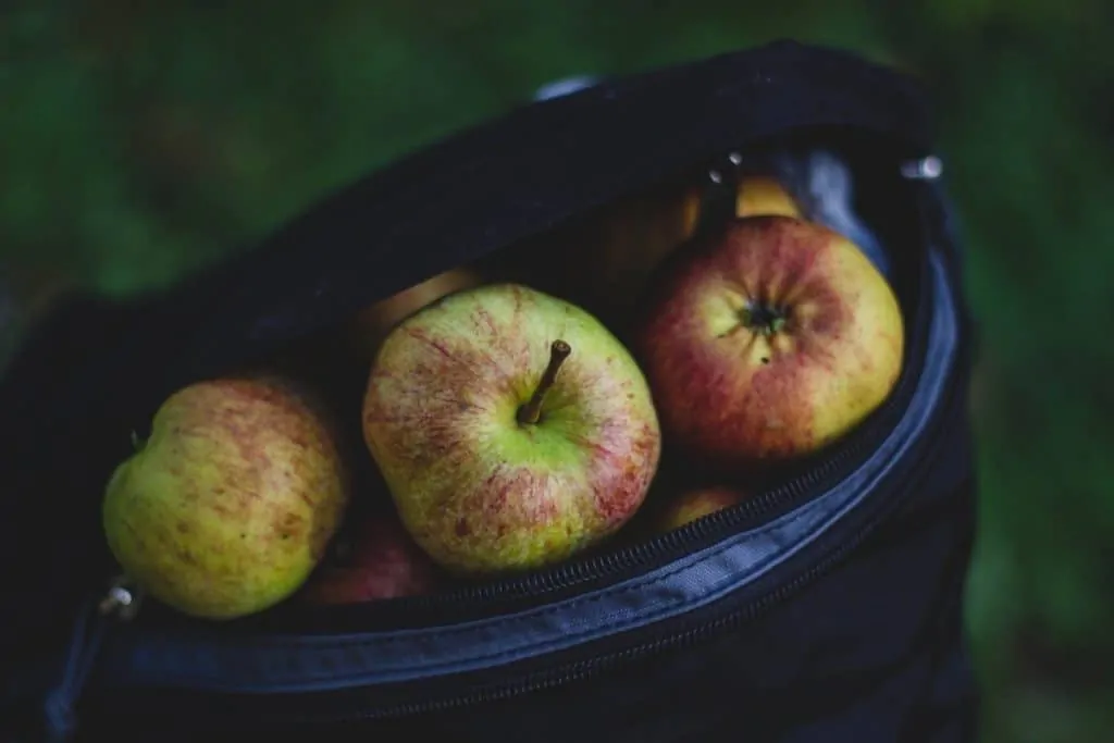 can you take fruit on a plane in europe