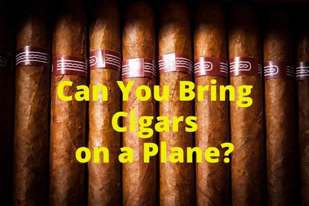 Can You Bring Cigars on a Plane? 10