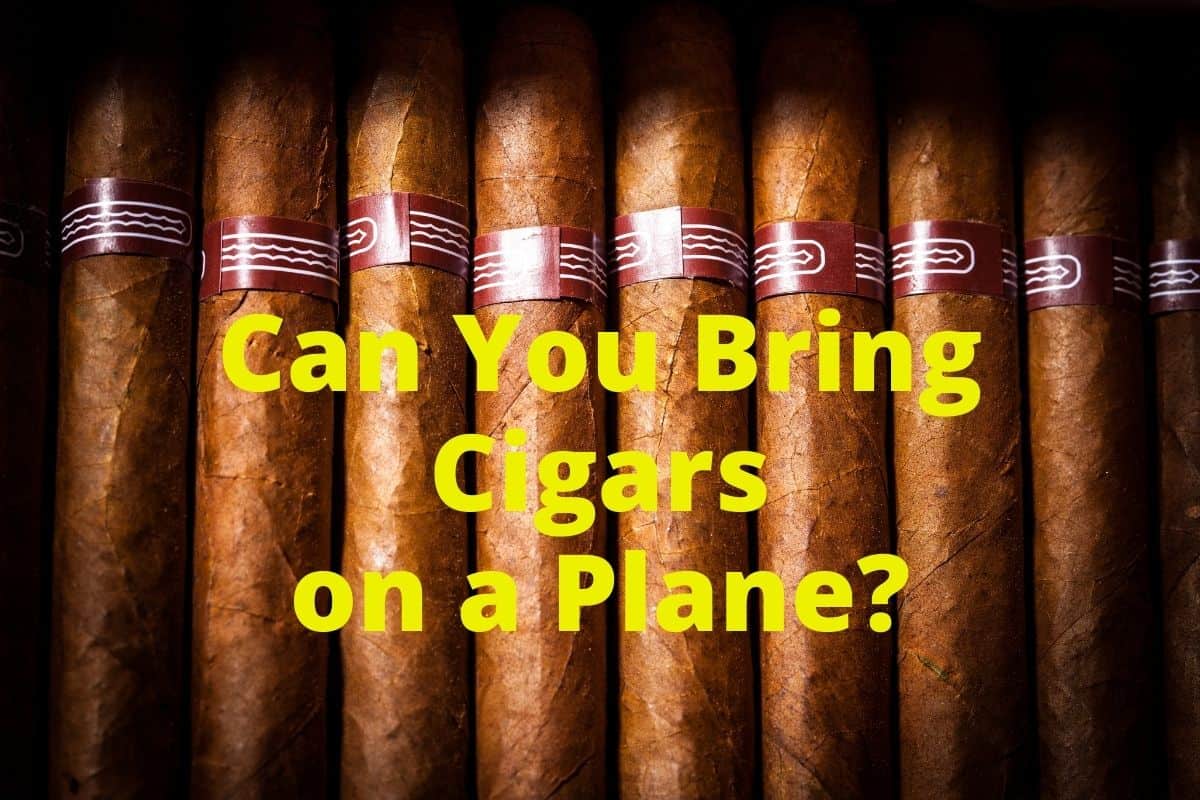 Can You Bring Cigars on a Plane?