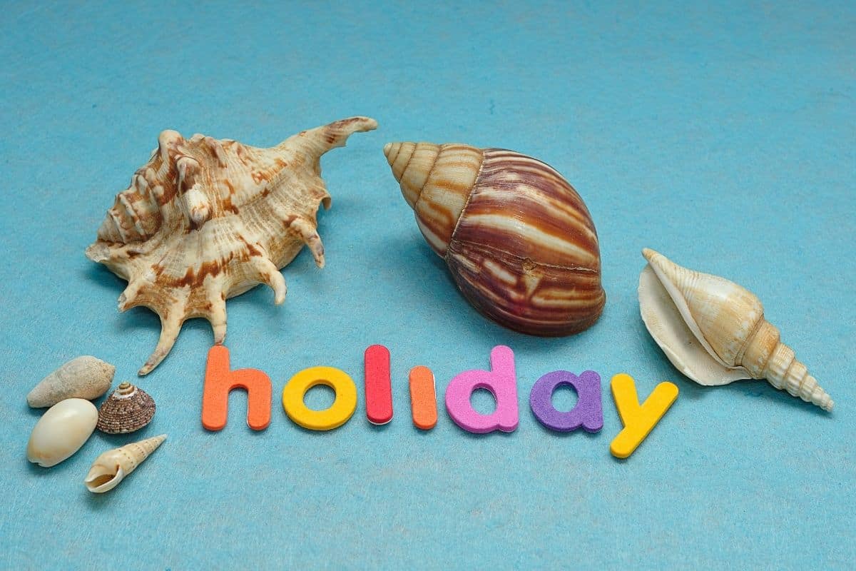 Can You Bring Seashells on a Plane? Travel Easier