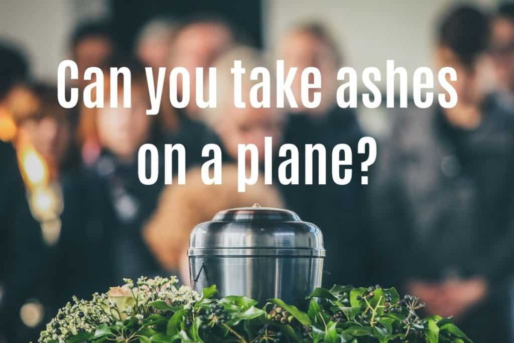 Can You Take Ashes on a Plane? Flying With Cremated Remains 8