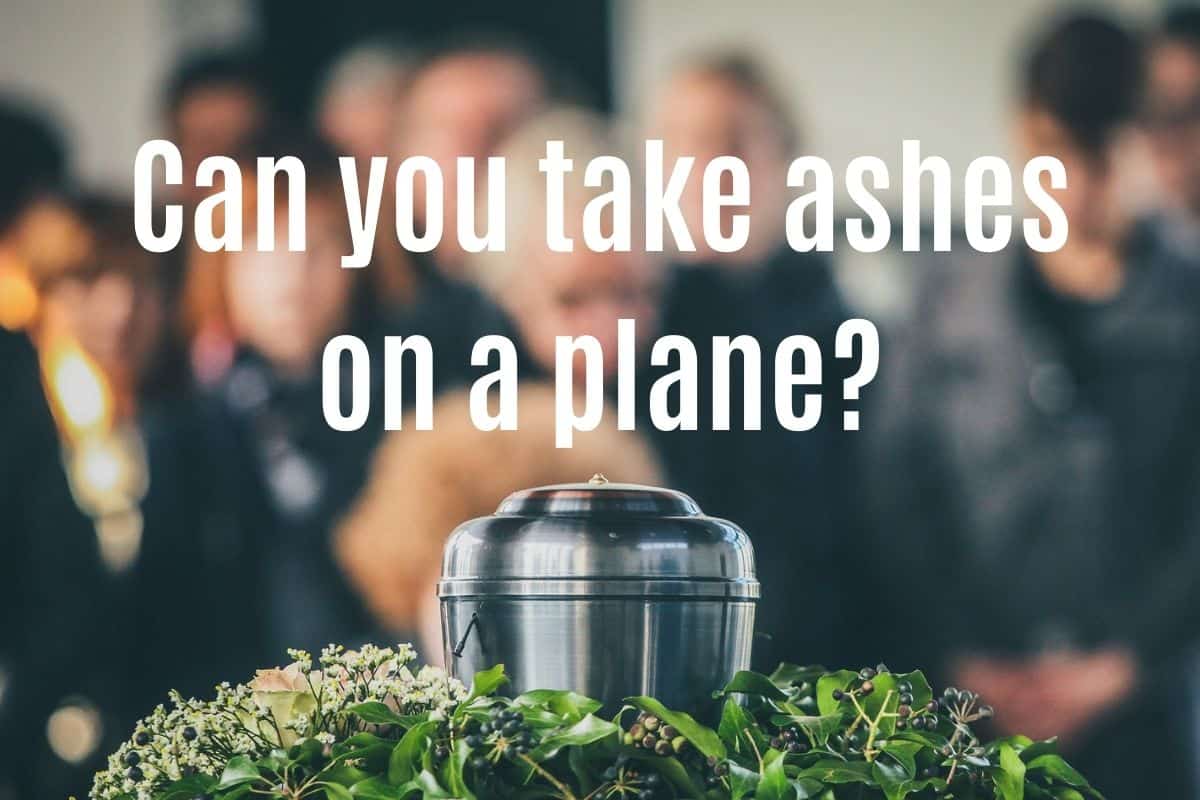 Can You Take Ashes on a Plane? Flying With Cremated Remains