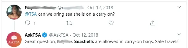 can you take seashells on a plane