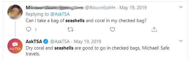 Can you take seashells in your checked bags?