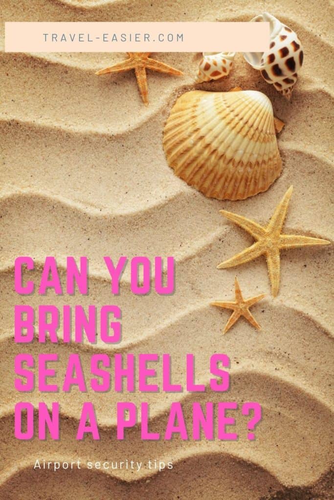Can You Bring Seashells on a Plane? 1 Can You Bring Seashells on a Plane? 1