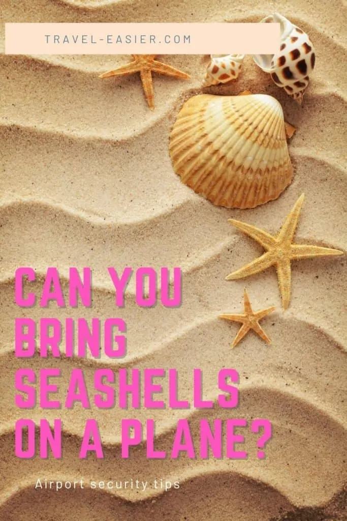 can you travel with seashells internationally