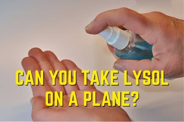 Can You Take Lysol on a Plane? In liquid, spray or wipe form 1