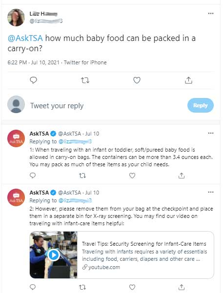 asktsa baby food on a plane