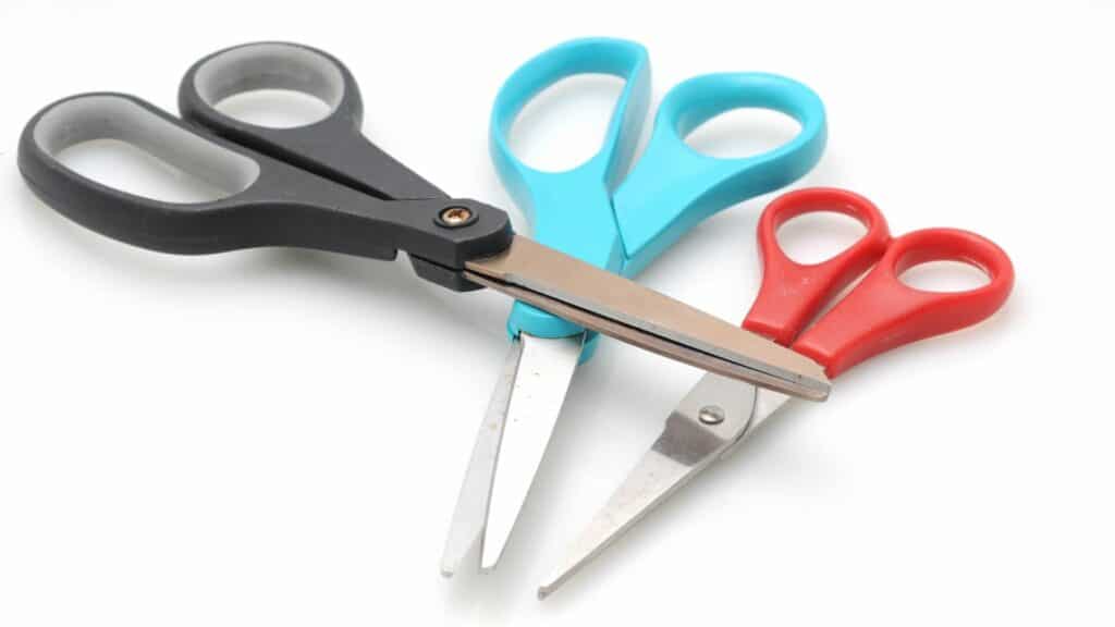 Can You Bring Scissors on a Plane 2022? Travel Easier