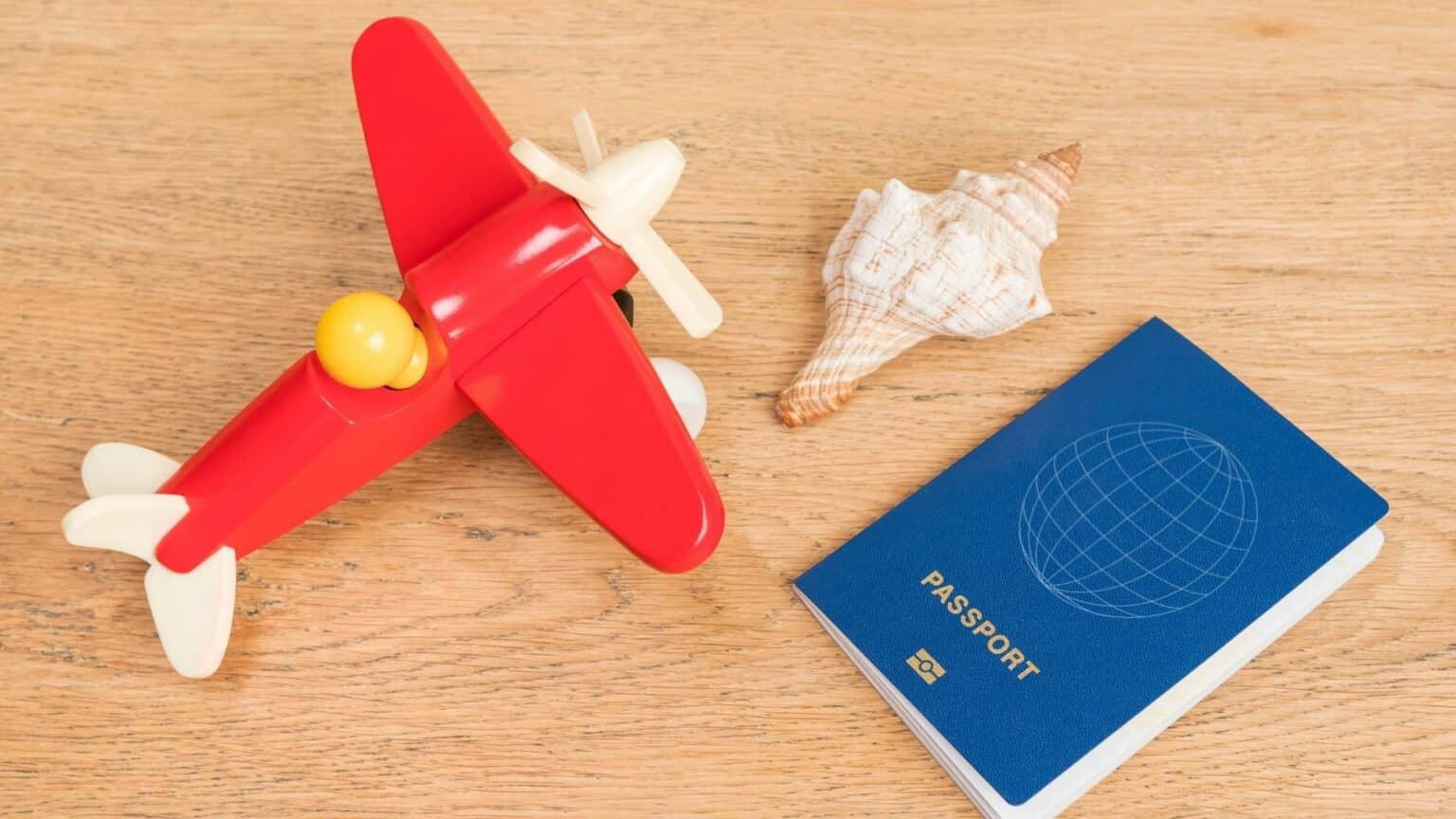 Can You Bring Seashells on a Plane? TSA and Customs Rules