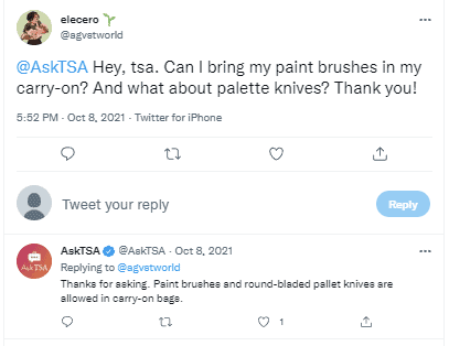 Can you bring paint brushes on a plane