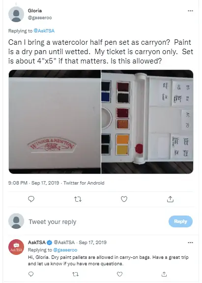 Can you take solid watercolor paint on a plane