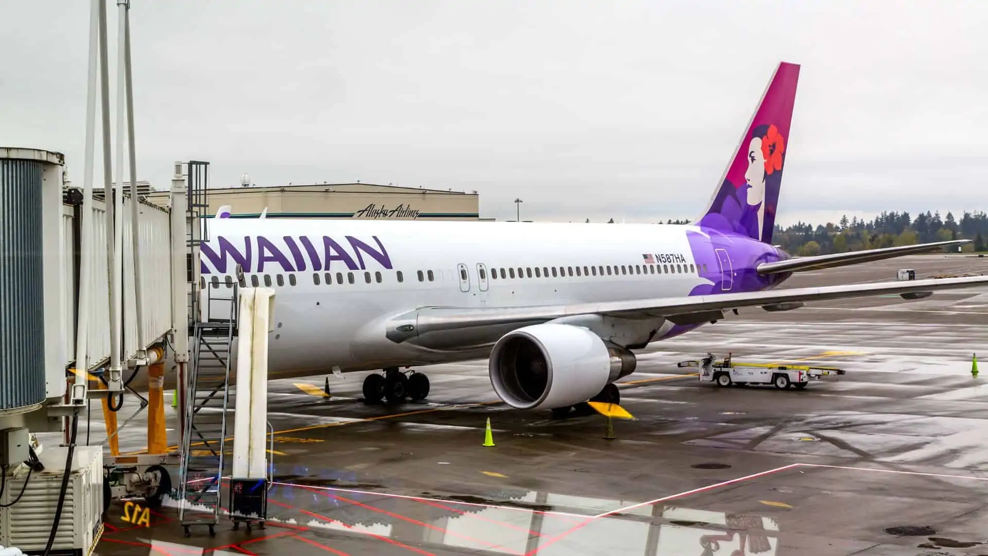 Does Hawaiian Airlines Have Wifi? They Do Now!