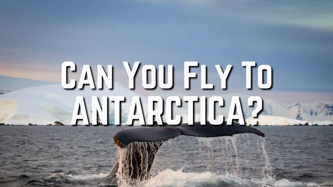 an You Fly To Antarctica_Featured Image