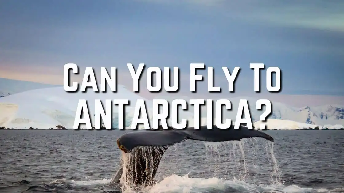 Can You Fly To Antarctica?