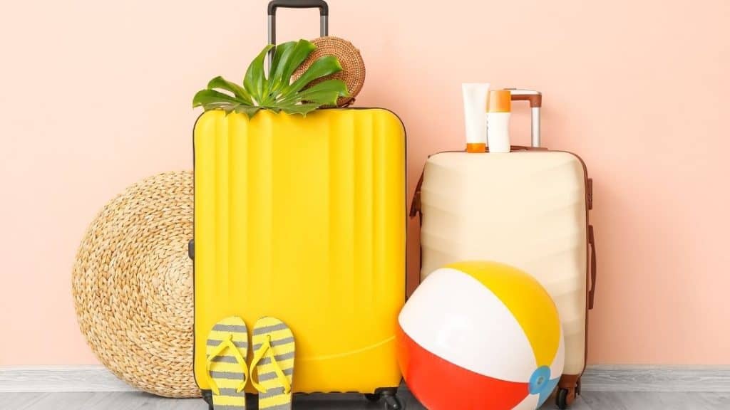 Delsey Luggage Review (Overview of 4 Best Luggage) 1 Delsey Luggage Review