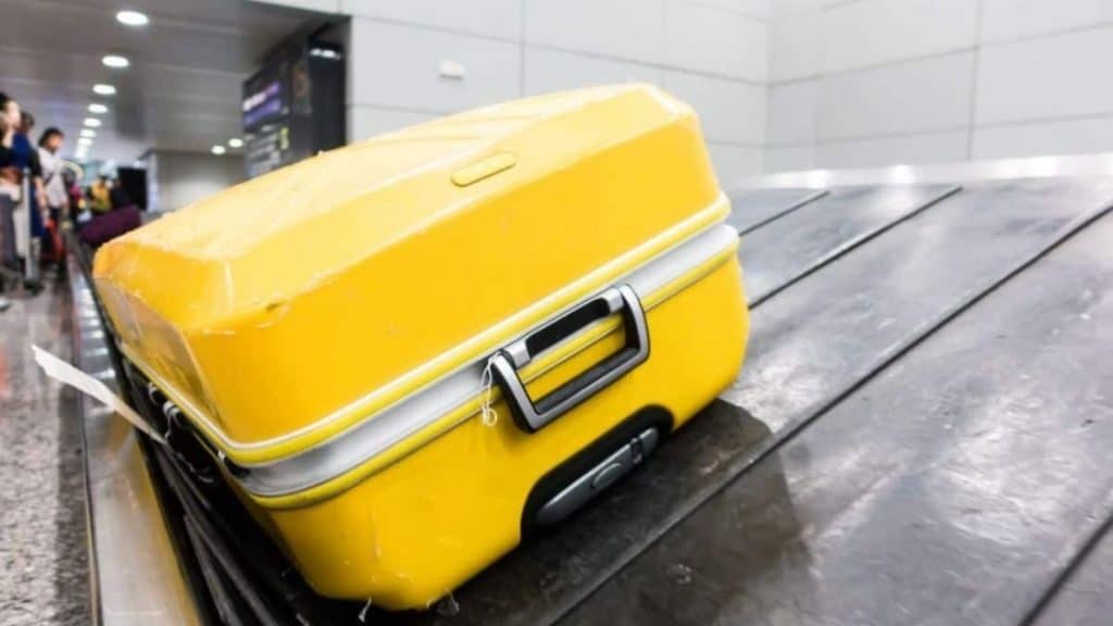 Monos Luggage Review