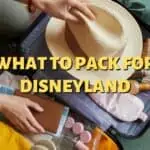 What To Pack For Disneyland [The Ultimate Packing Guide]