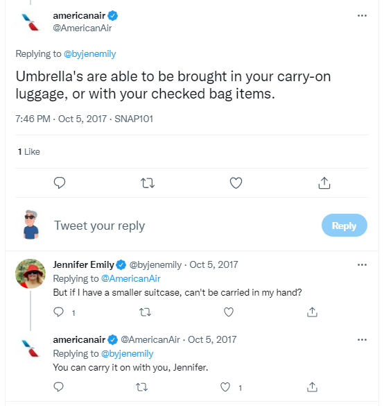 Umbrella American Airlines 