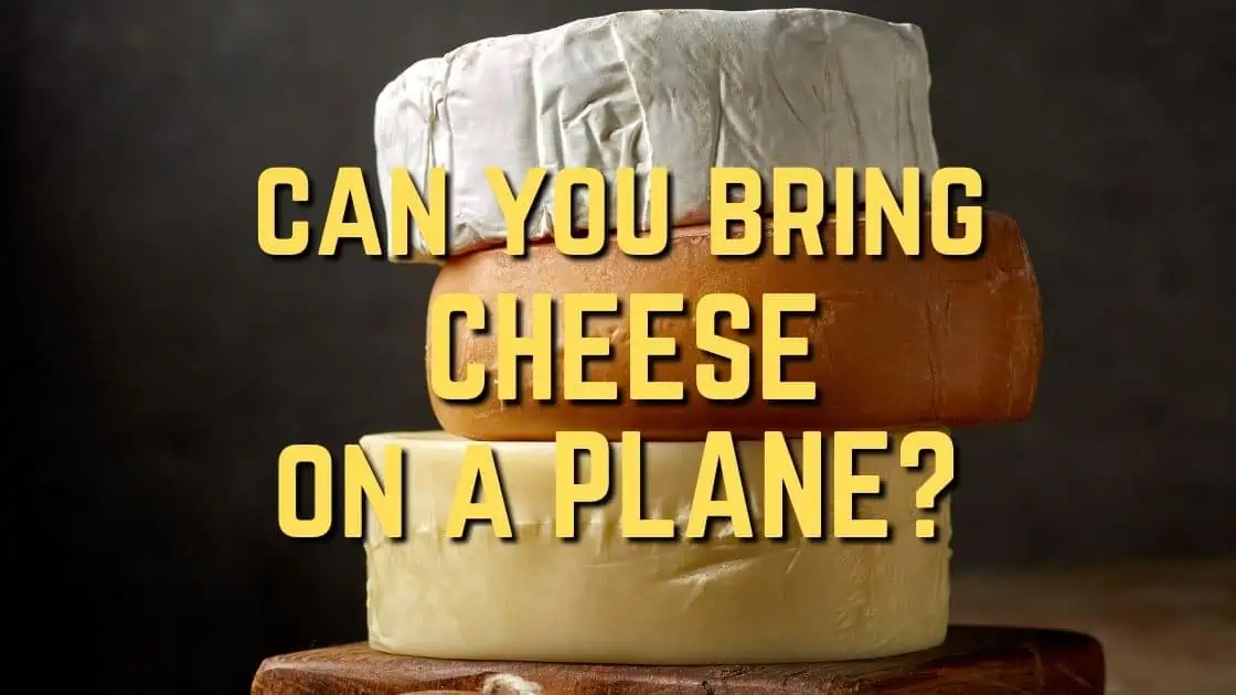 Can You Bring Cheese on a Plane Featured Image