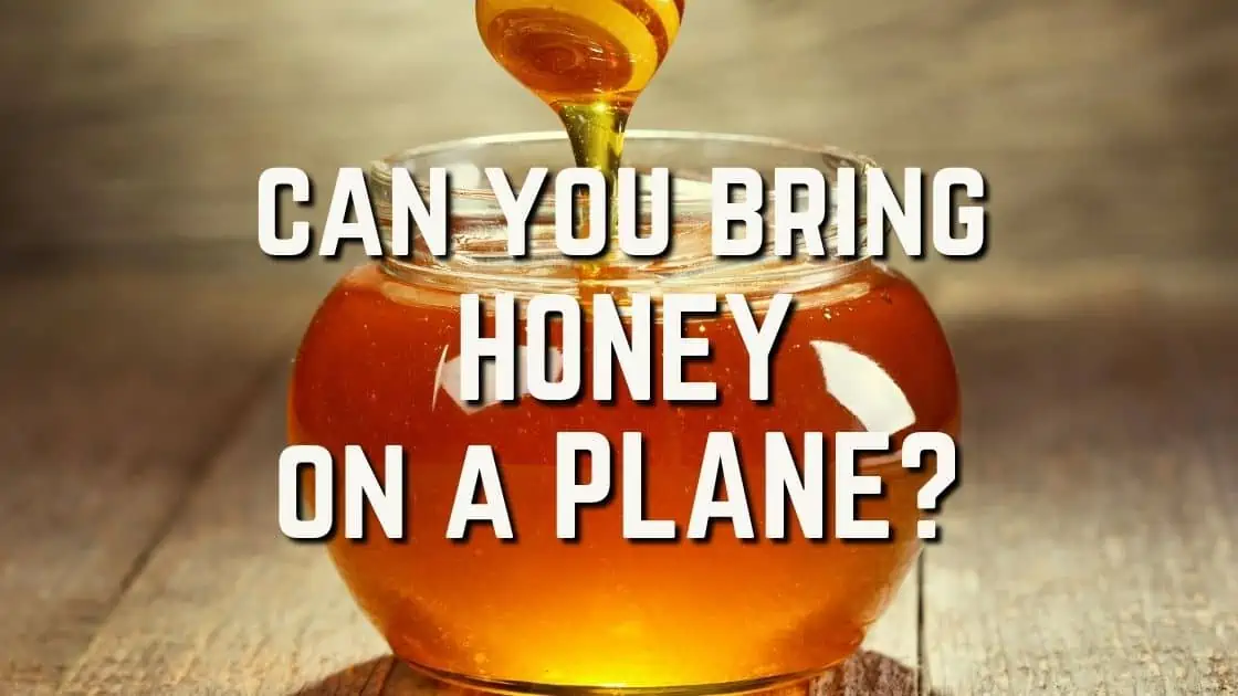 Can You Bring Honey on a Plane Featured Image