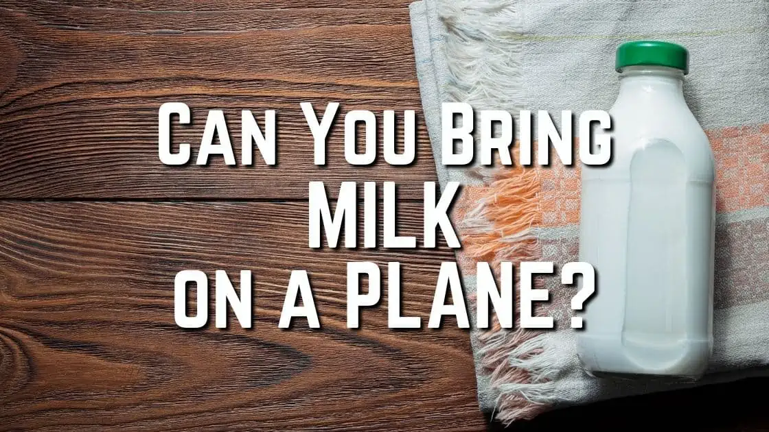 Can You Bring Milk on a Plane?