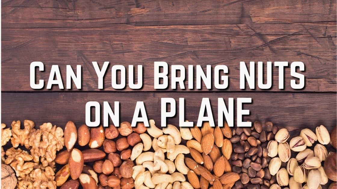 Pack Your Nuts, but Know the Regulations: A Guide to Bringing Nuts on a Plane