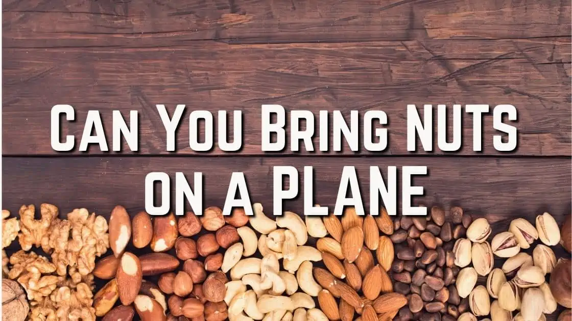 Can You Bring Nuts on a Plane_Featured Image