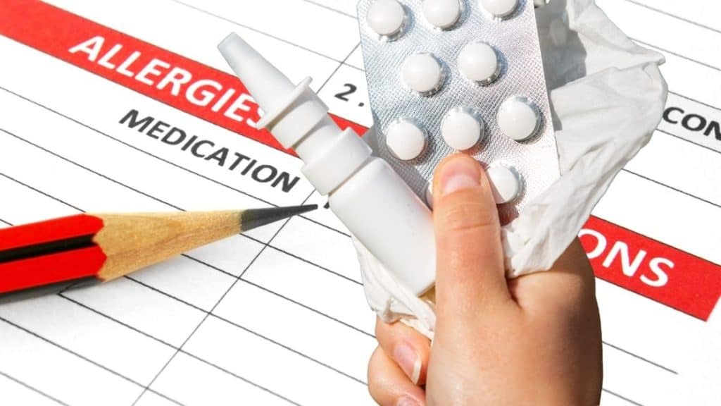 Can You Bring Nuts on a Plane?