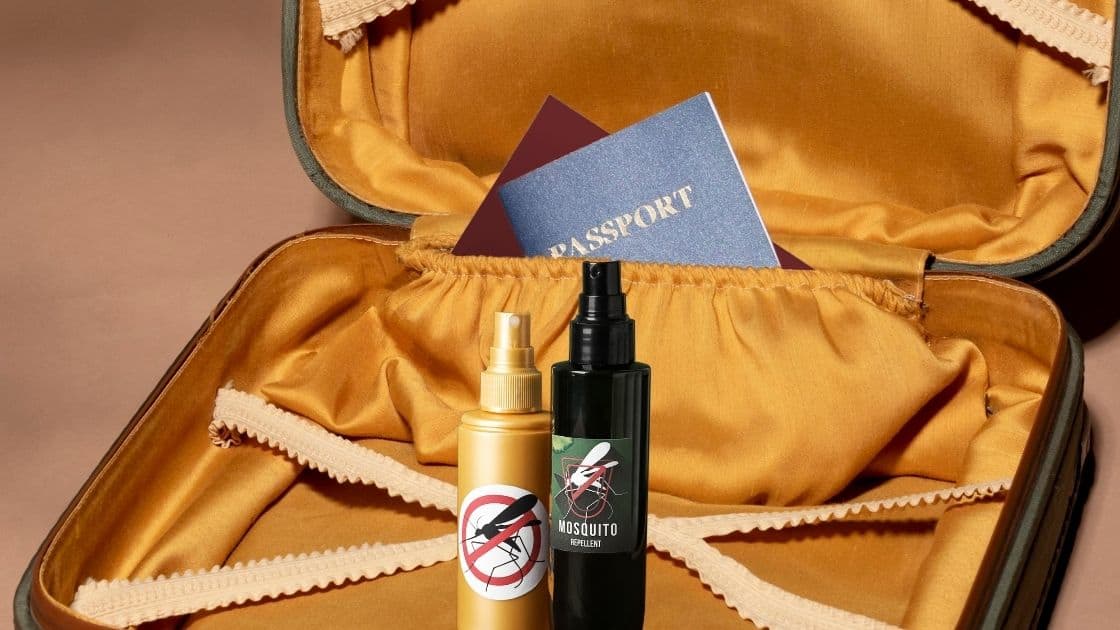 can-you-bring-bug-spray-on-a-plane-tsa-rules-explained