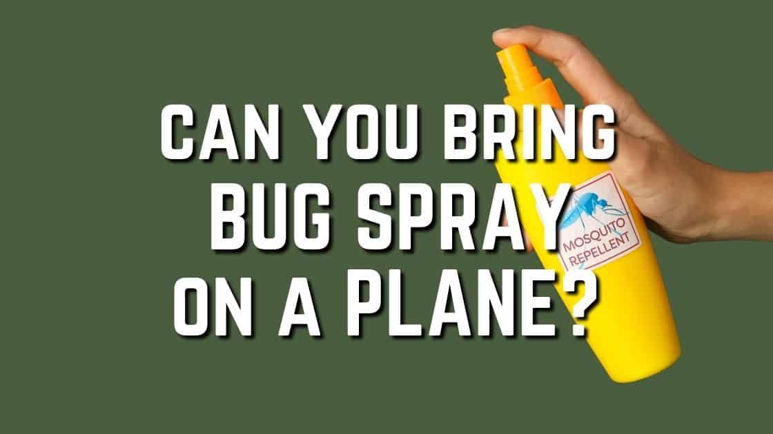 Can You Bring Bug Spray On A Plane TSA Bug Spay Rules