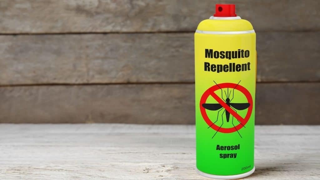 Can You Bring Bug Spray on a Plane_Aerosol spray