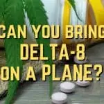 Can You Bring Delta-8 on a Plane?