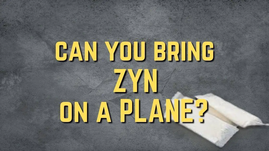 Can You Fly with Zyn Nicotine Pouches?