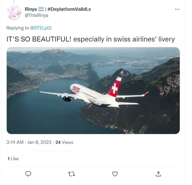 Swiss Airlines Review 1