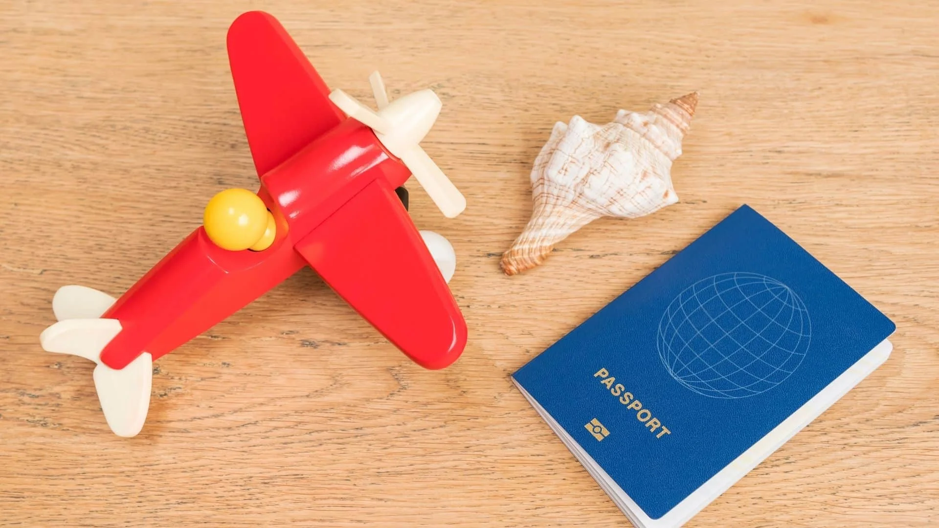 Can You Take Seashells on a Plane? Coral, Sand and Sand Dollars 1 Can You Bring Seashells on a Plane